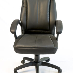 UE 102 Hi-Back