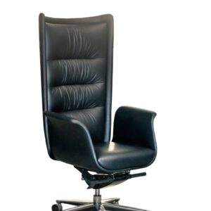 Chairman Chair Visitor