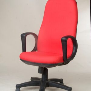 Ergo premium
