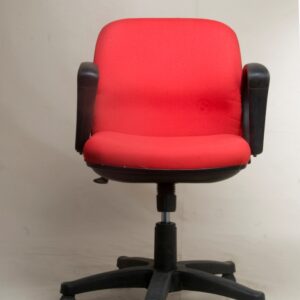 Premium Ergo Low -Back
