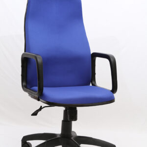 Ergo HI-Back