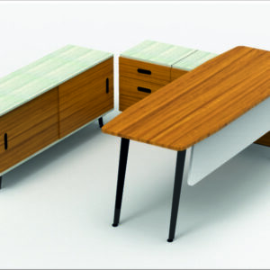 Quadra -Director Table-5
